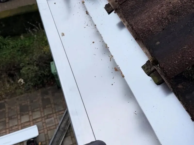 Travaux de zinguerie sur toiture à Orléans