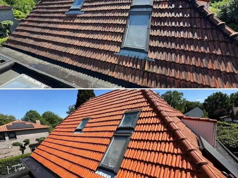 Toiture en tuiles à Orléans